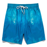 Gradient Design Swim Shorts