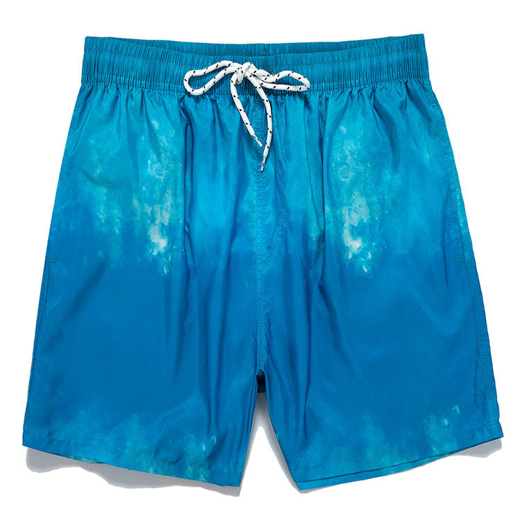 Gradient Design Swim Shorts