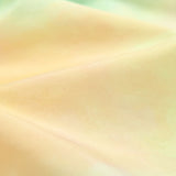 Gradient Design Swim Shorts