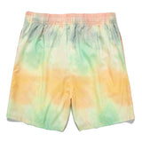 Gradient Design Swim Shorts
