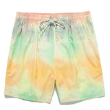 Gradient Design Swim Shorts