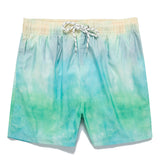 Gradient Design Swim Shorts