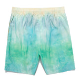 Gradient Design Swim Shorts