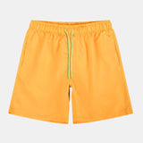 Striped Tropical Panel Shirt and Swim Shorts Set